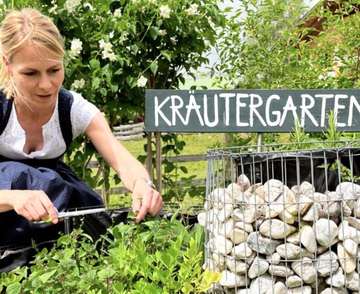 Unser kleiner Kräutergarten